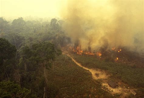 Das Große Feuer von Tupinambá: Eine Katastrophe im Herzen des Amazonischen Regenwaldes und der Beginn einer neuen Ära